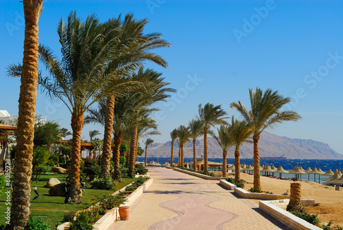 sharm el sheikh photo