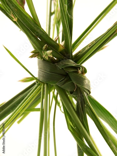 Grass Knot