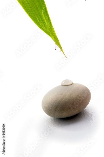 Canvas Print zen background
