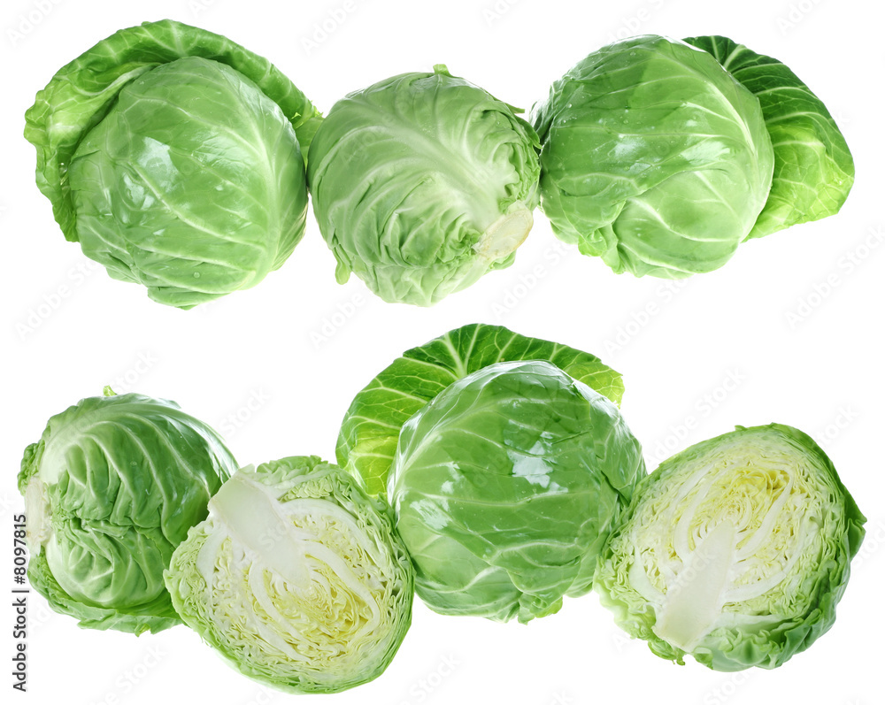 Fototapeta premium Cabbage isolated