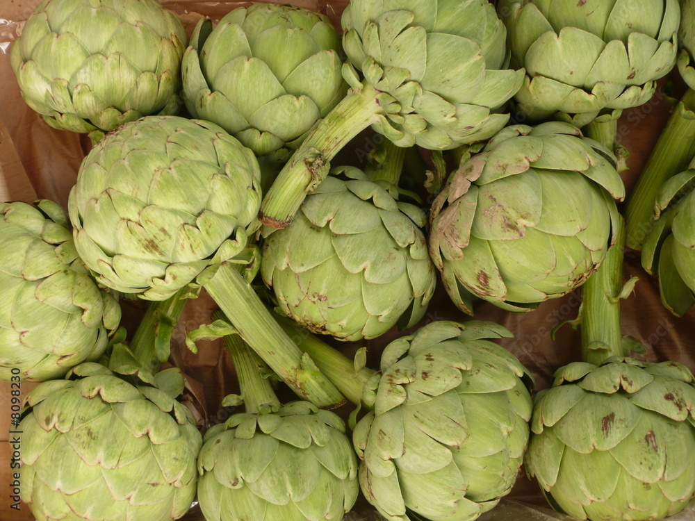 Obraz premium Artischocken 3