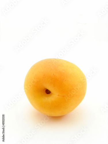 Apricot isolated