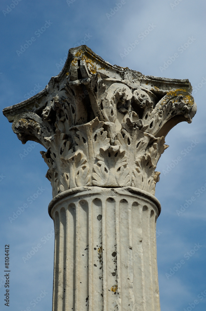 Pompeii Forum Column