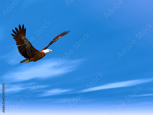 Eagle
