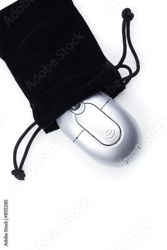 Portable Mouse and Bag