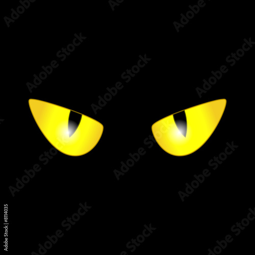 katzenaugen