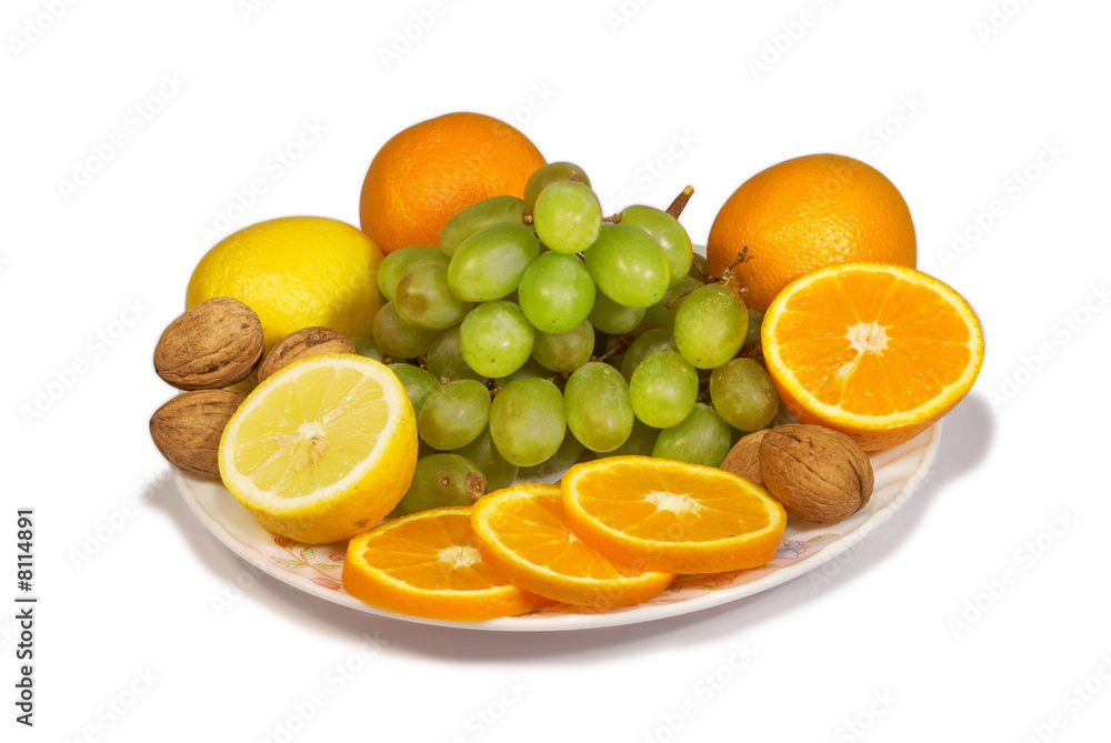 still life still life
