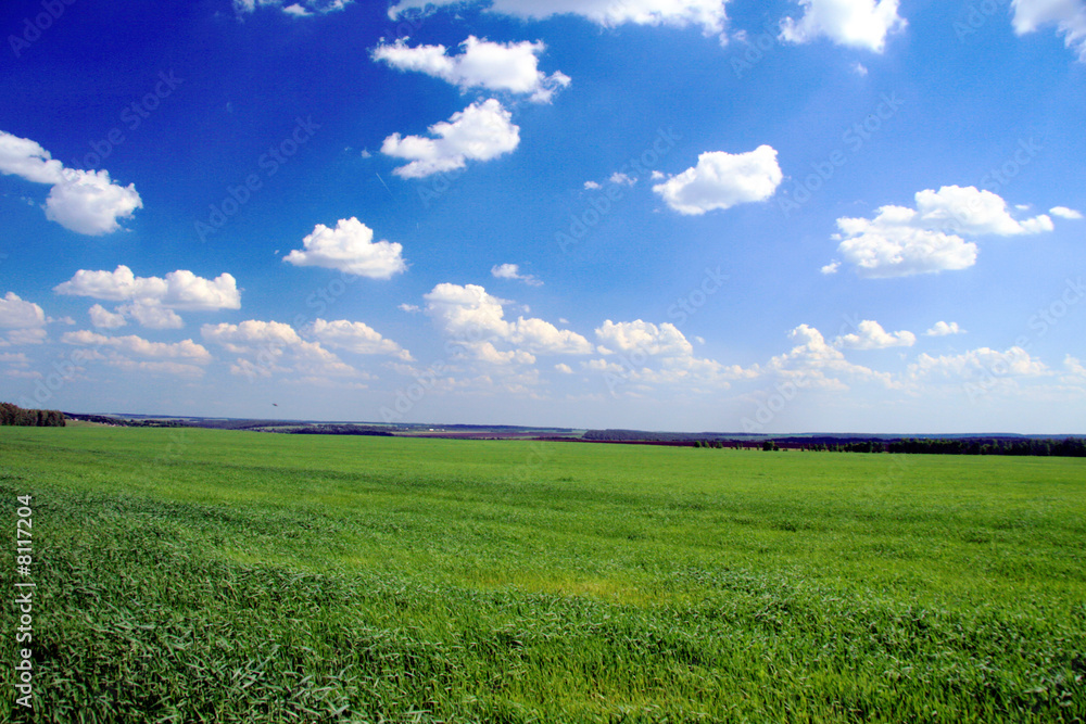 Background. Field