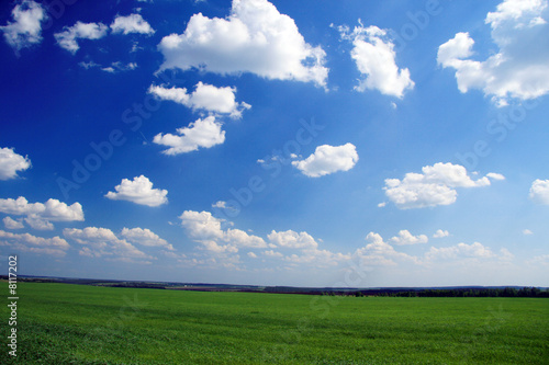  	Background. Field