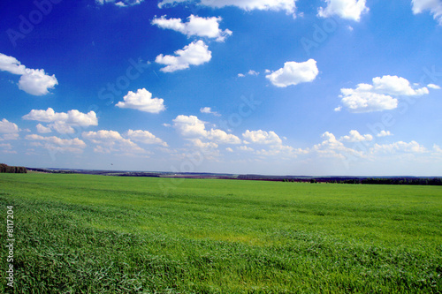 Background. Field