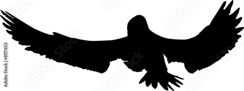 vogel