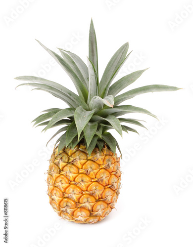 whole pineapple fruit with white isolated background