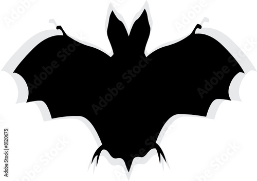 pipistrello