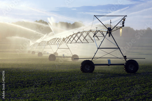 crop irrigation photo
