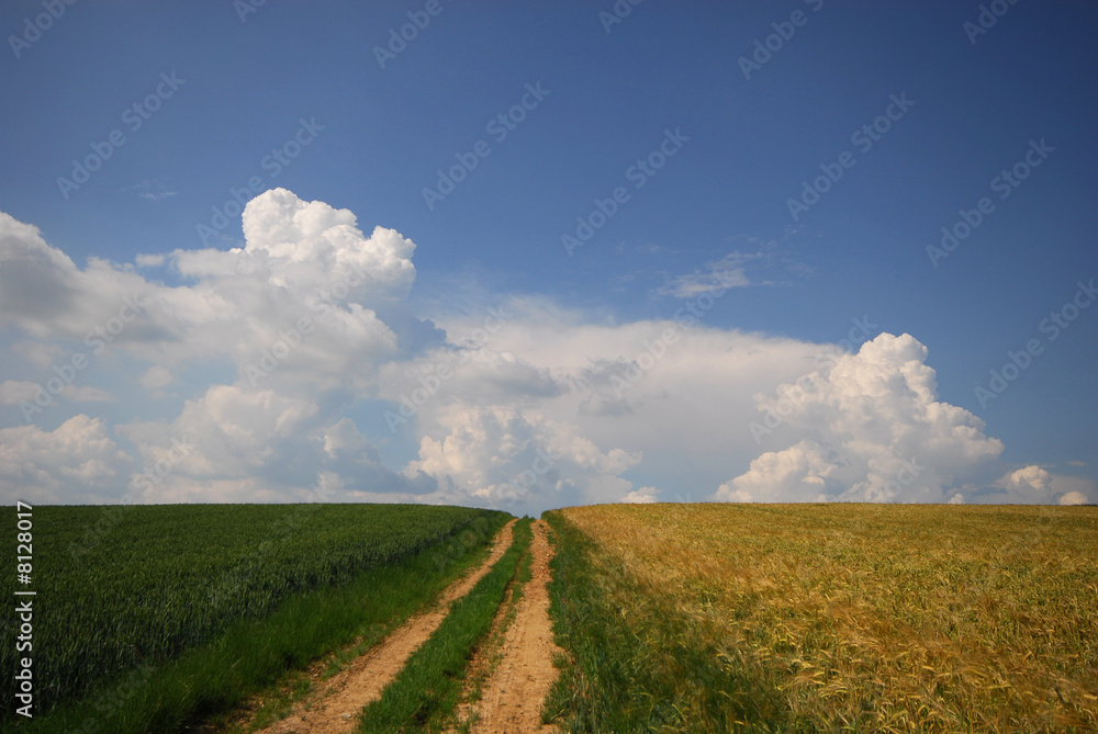 Le chemin vers les nuages