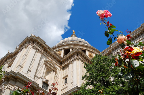 St Paul cathedral and roses
