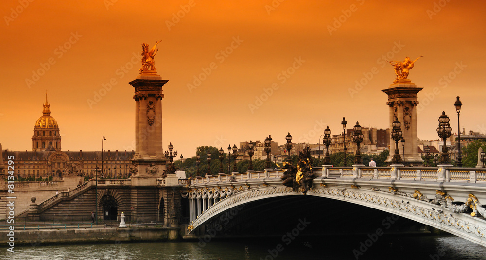 Fototapeta premium Paris Pont Alexandre 3 et Invalides