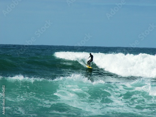 Surfing in Waves