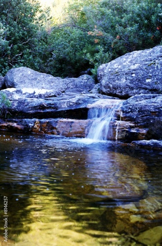 Knysna Forest -Tinted River