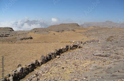 plateau yéménite