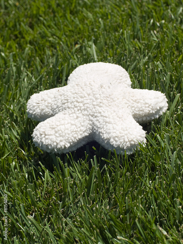 Blank Stuffed Toy with Copy Space. 