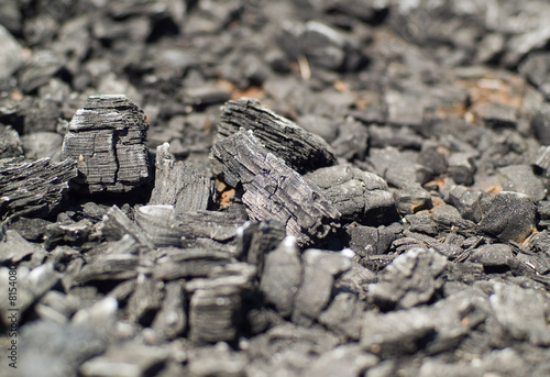 Burnt Wood, looking more like charcoal at this point. 