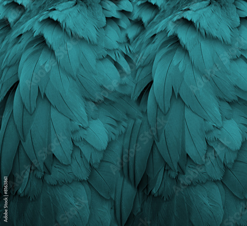3D Tapete im Flur - Fototapete Aqua Feathers
