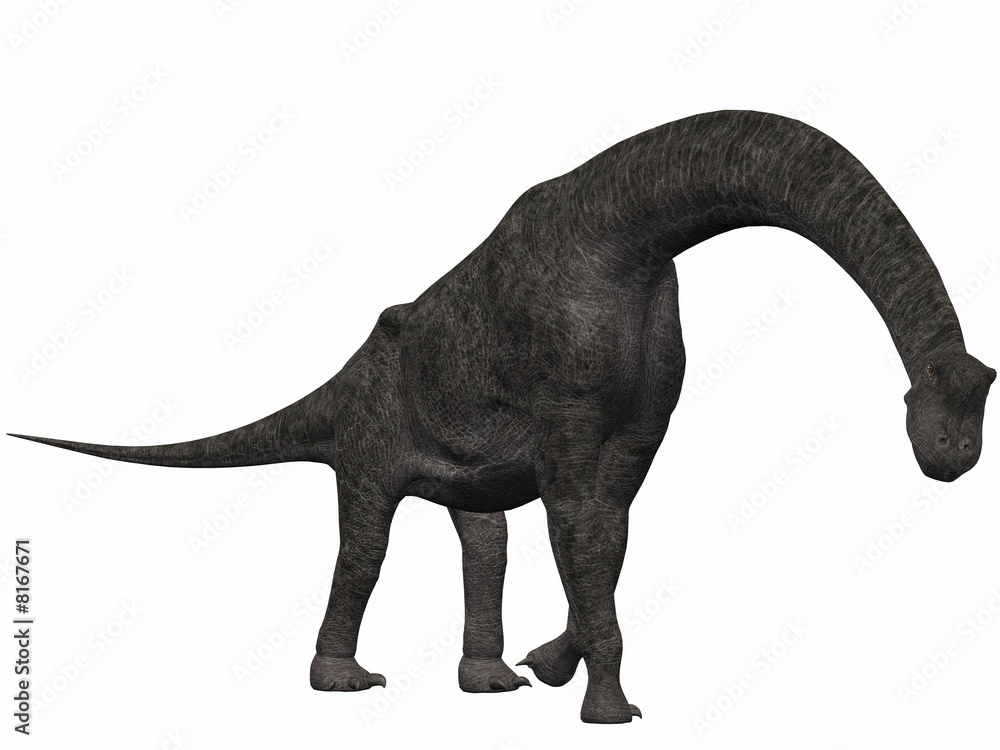 Fototapeta premium Brachiosaurus-3D Dinosaurier