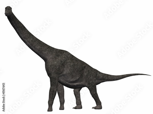 Brachiosaurus-3D Dinosaurier © Andreas Meyer