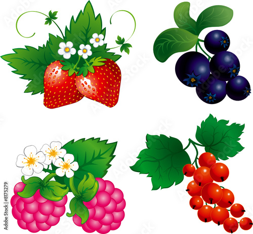 Set of berry