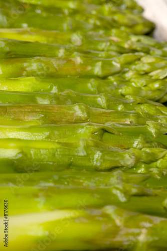 salad photo