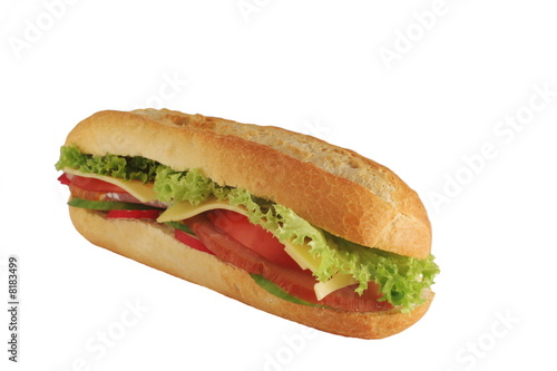 appetizing sandwich