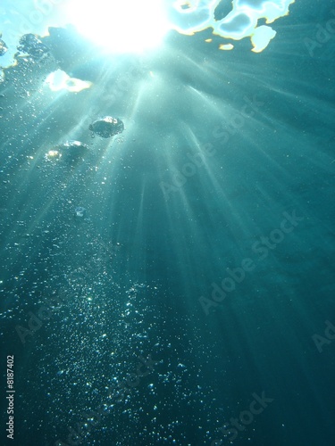 sous l'eau photo