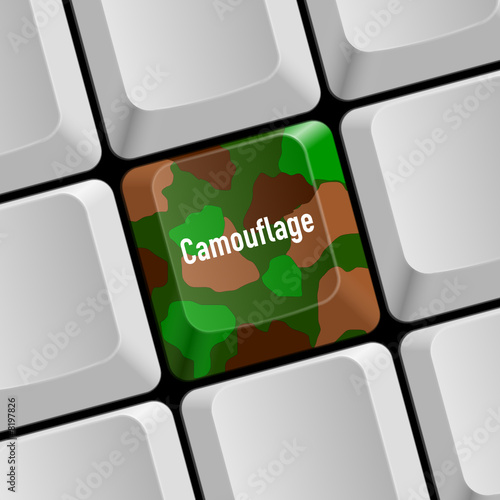 taste camouflage