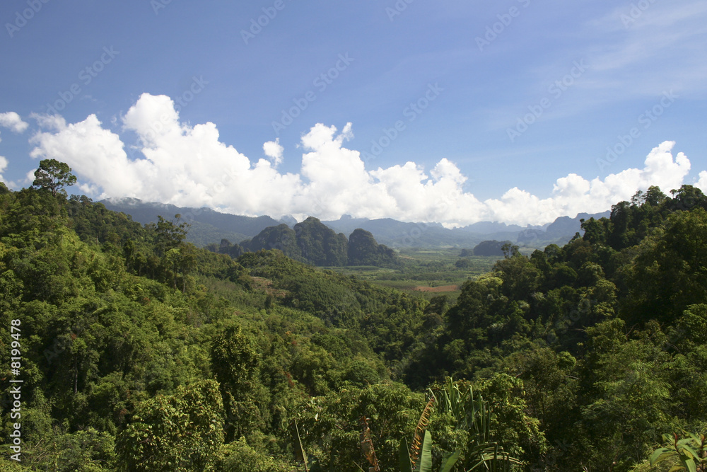 Fototapeta premium jungle thai