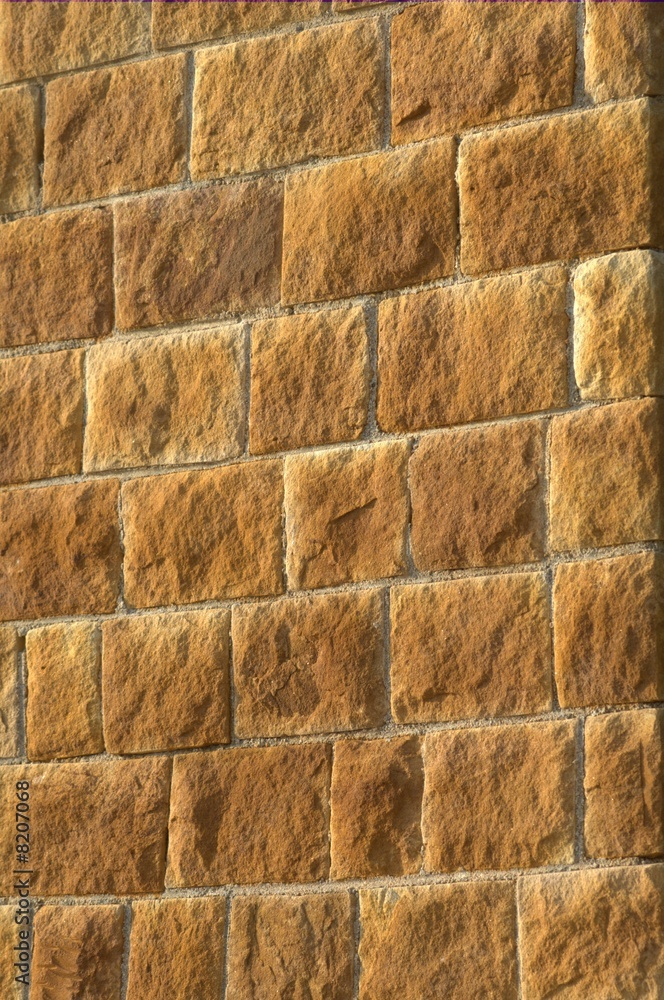 Fototapeta premium wall