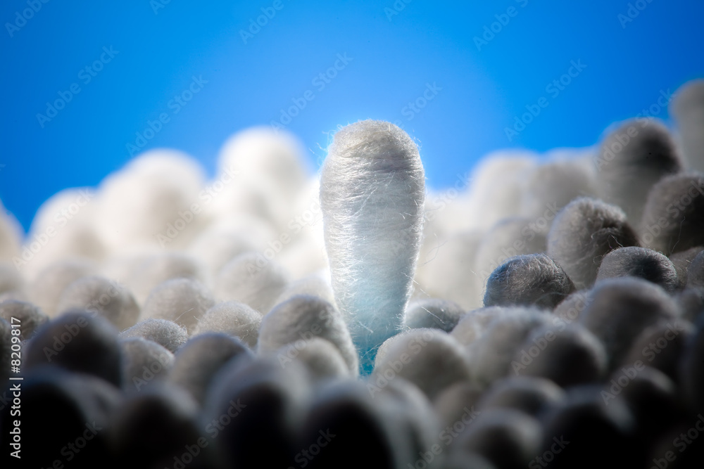 Obraz premium Swab stand out from the crowd