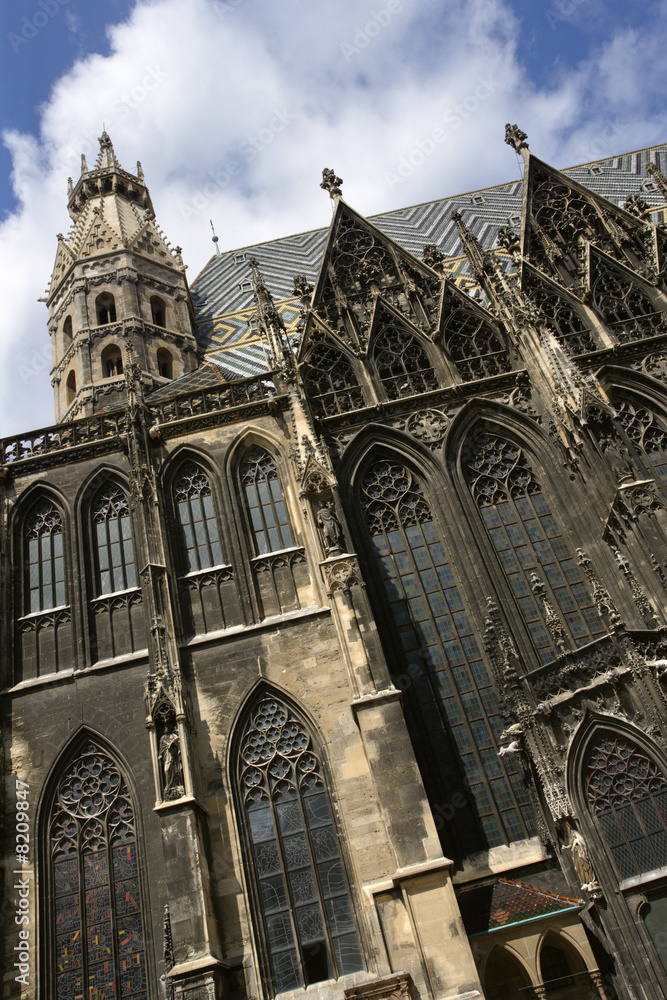 Fototapeta premium St. Stephens cathedral in Vienna