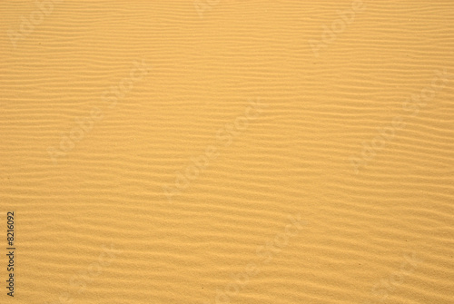 Golden Sand Ripples