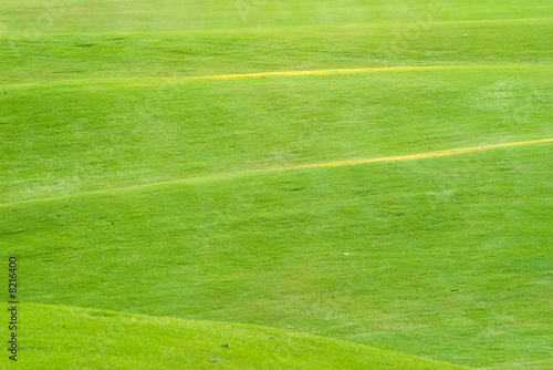 green grass of golf course