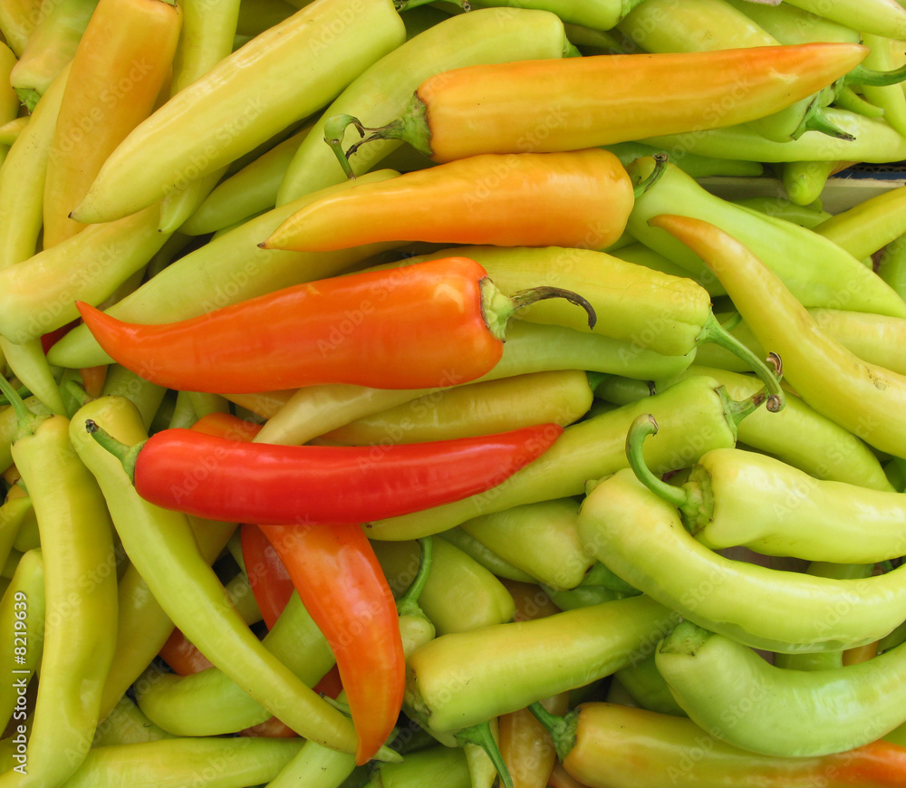Paprikas hot peppers green and red