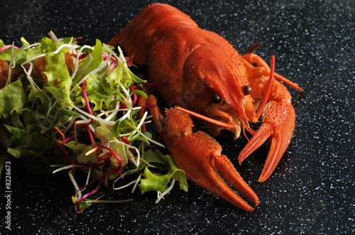 Haute cuisine