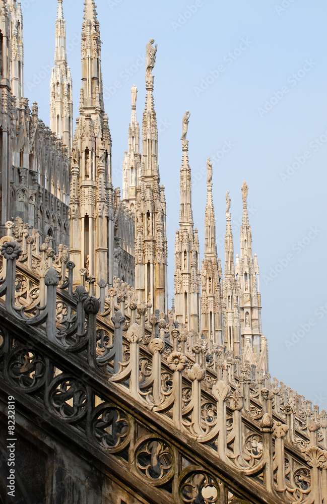 Milan Cathedral, detail