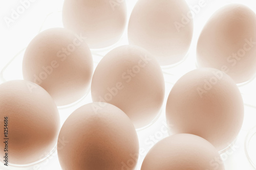 White Eggs on Plastic Egg Carton