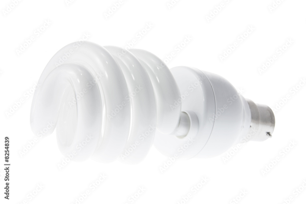 Compact Fluorescent Light Bulb Compact Fluorescent Light Bulb