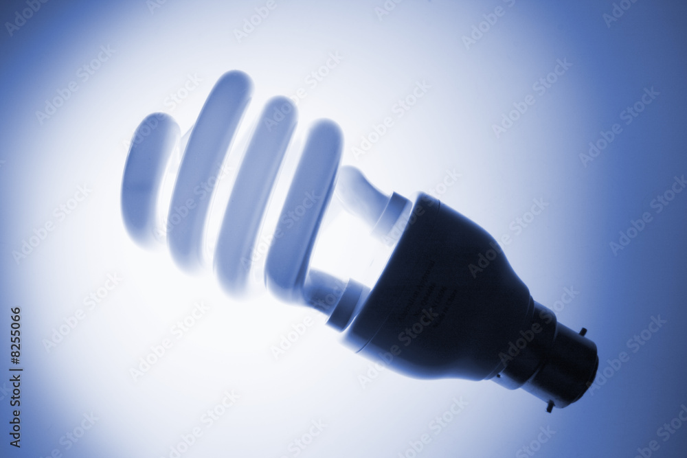 Fluorescent Bulb with Blue Tone Fluorescent Bulb with Blue Tone