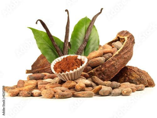 Kakao Bohnen Kakaopulver und Vanille - Kakaobohnen mit Frucht und Blätter Freigestellt