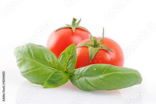 basilico con pomodorini photo