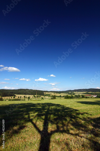 Summer countryside - shadow of tree