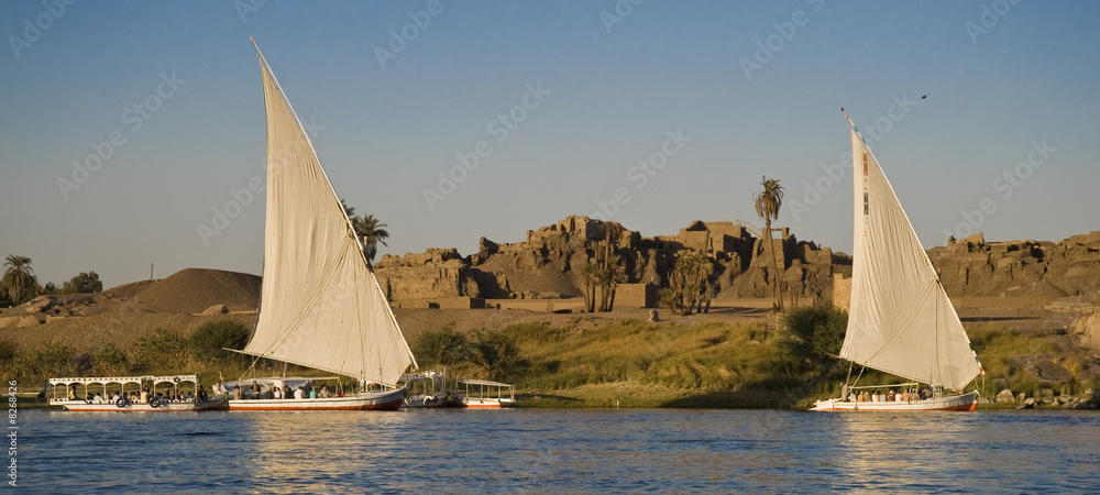 Fototapeta premium Aswan2
